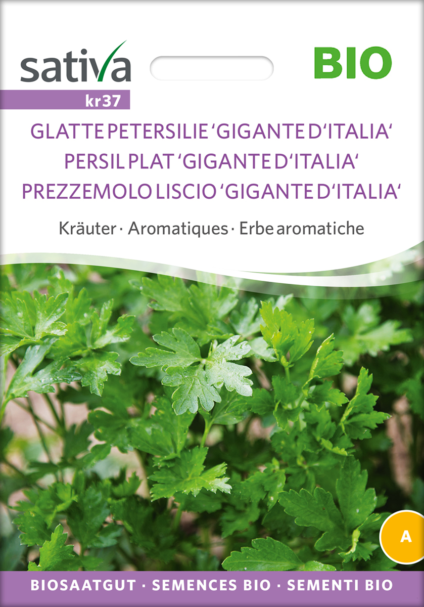 Glatte Petersilie Gigante d' Italia, BIO Samen