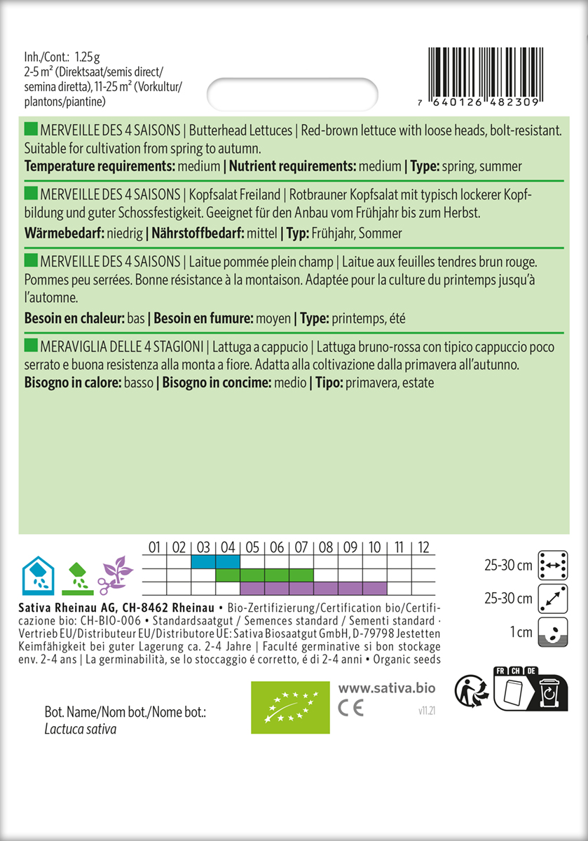 Kopfsalat 'Merveille des 4 Saisons' Biosaatgut