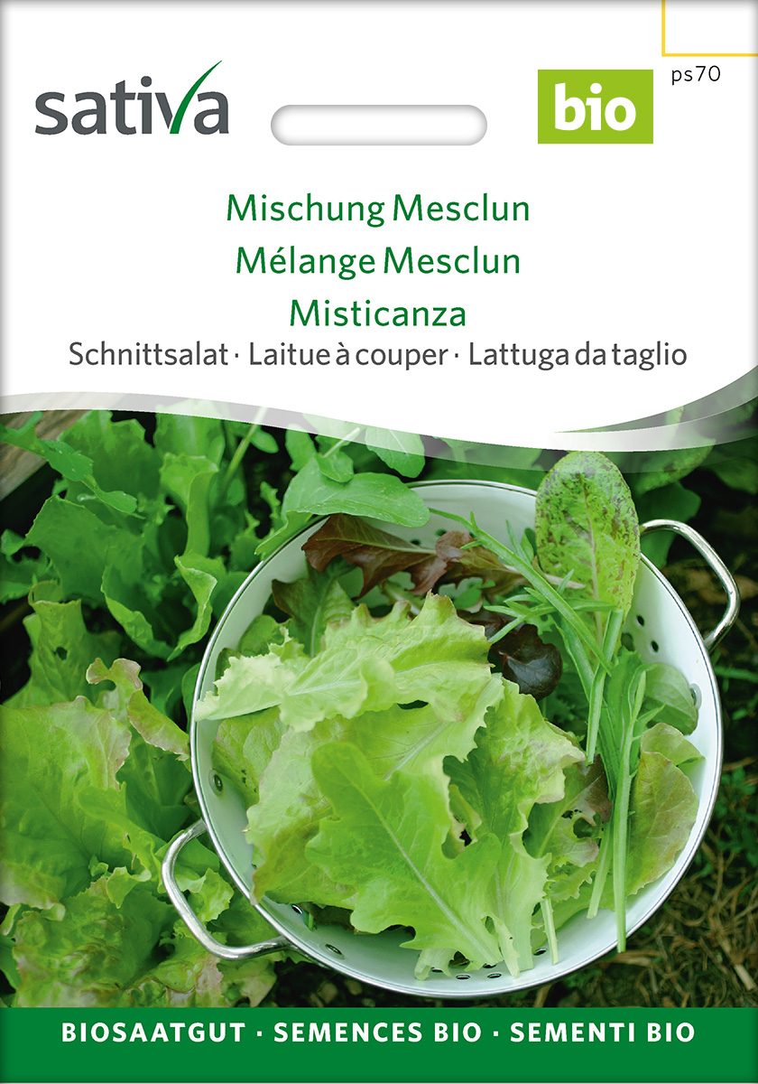 Schnittsalat 'Mischung Mesclun' BIO Samen