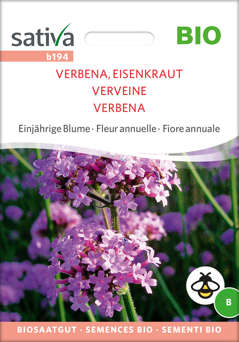 Verbena, Eisenkraut BIO Samen