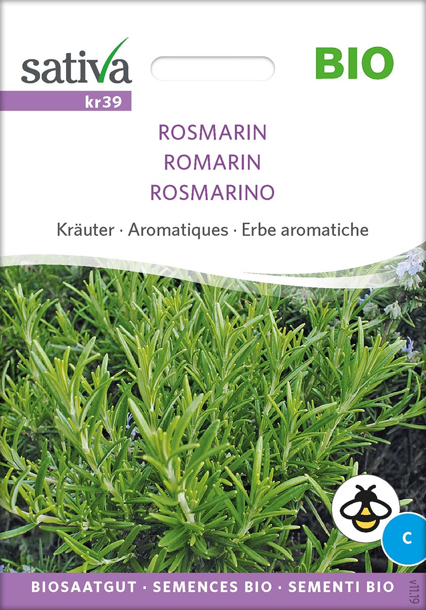 Rosmarin BIO Samen