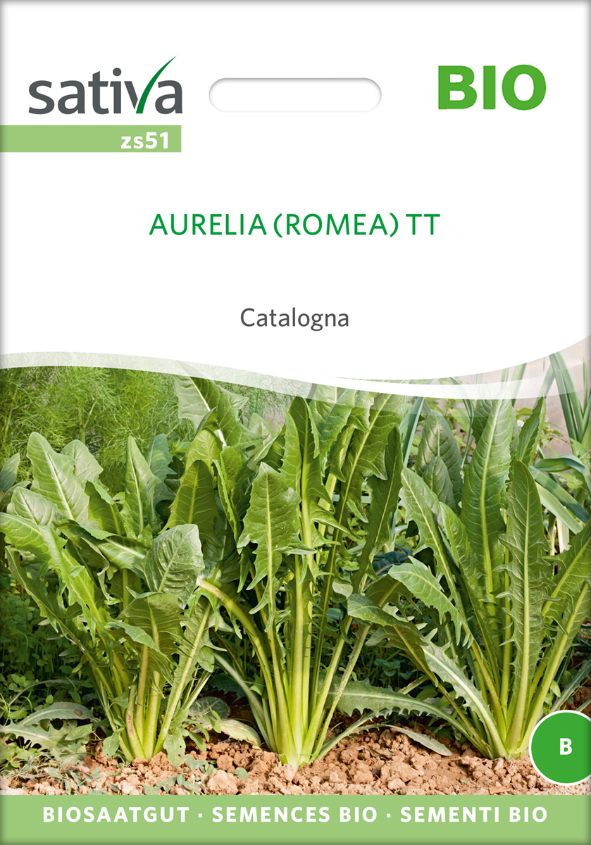 Zichorie 'Aurelia (Romea) TT' BIO Samen 