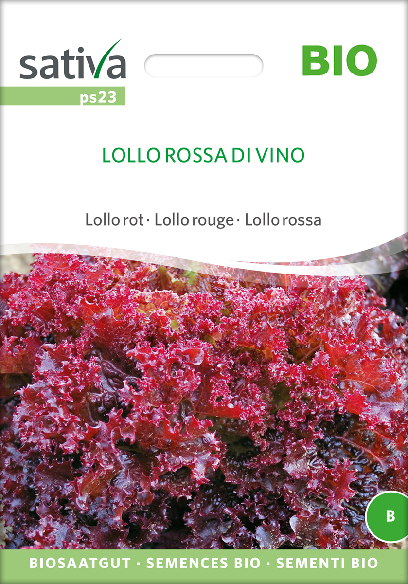 Pflücksalat Lollo Rossa Biosaatgut