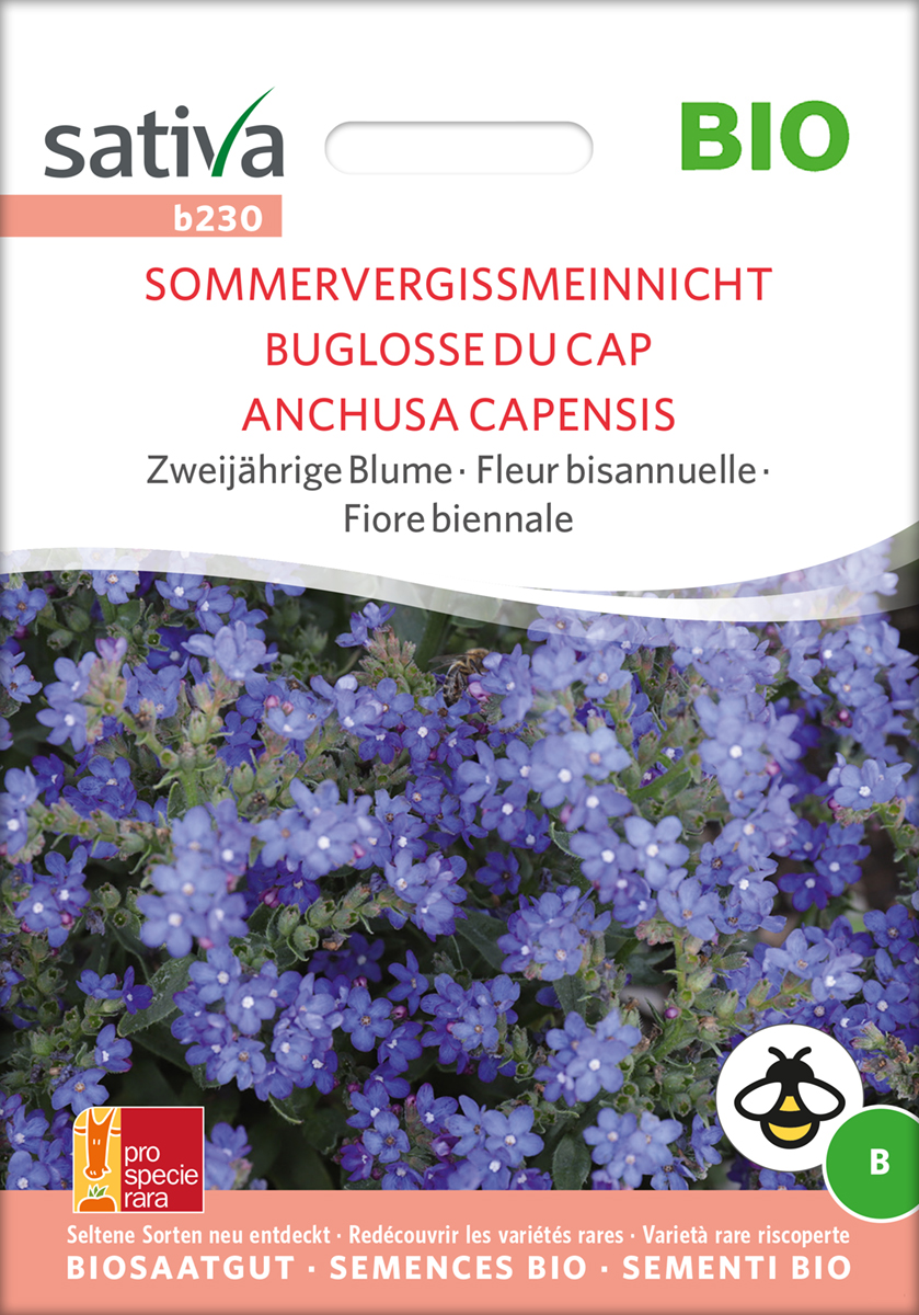 b230_sommervergissmeinnicht_samen_bio Sommervergissmeinnicht BIO Samen