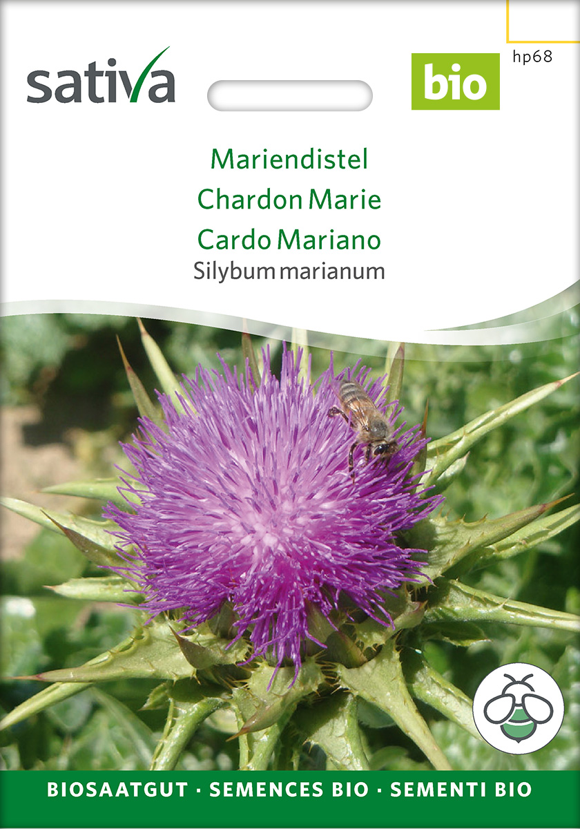 Mariendistel | Biosaatgut