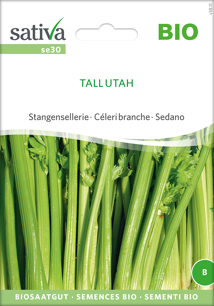 Sellerie Tall Utah Samen, Stangensellerie