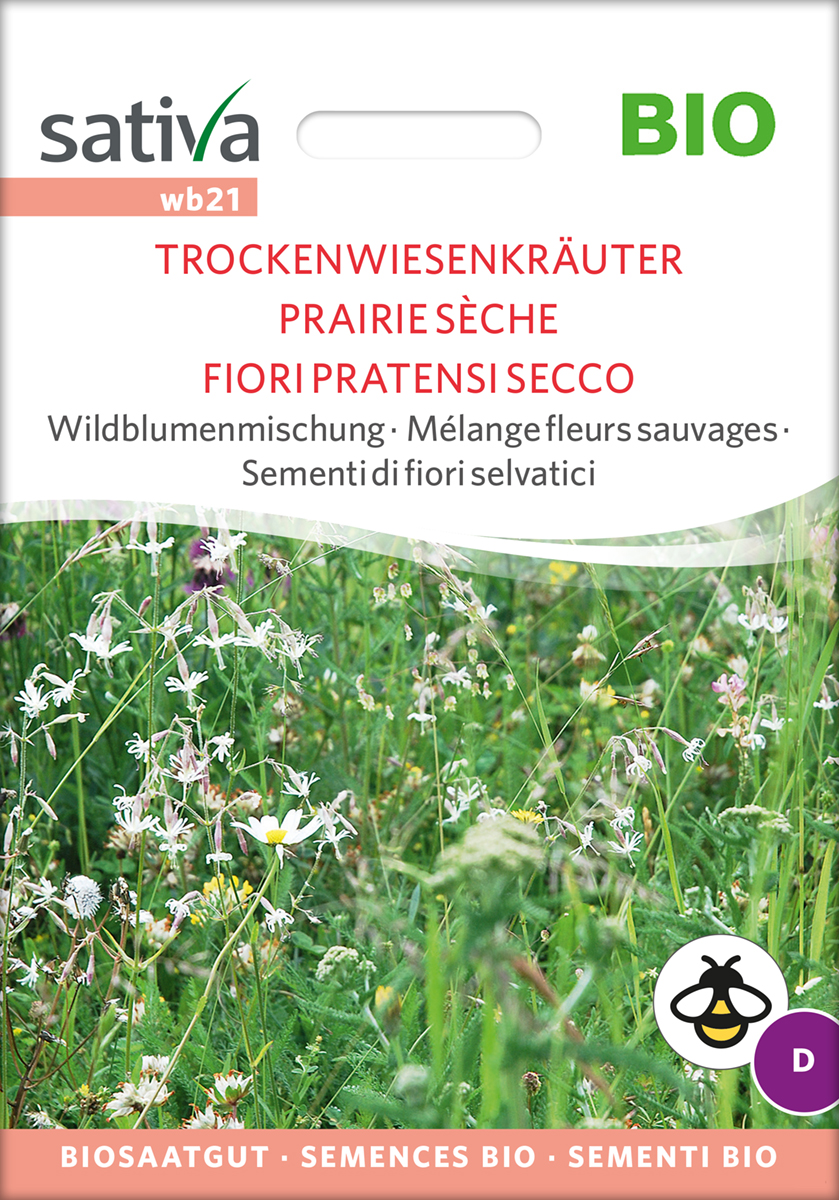 Trockenwiesenblumen Biosaatgut