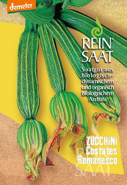 Zucchini 'Costates Romanesco' BIO Samen Zucchini 'Costates Romanesco' BIO Samen