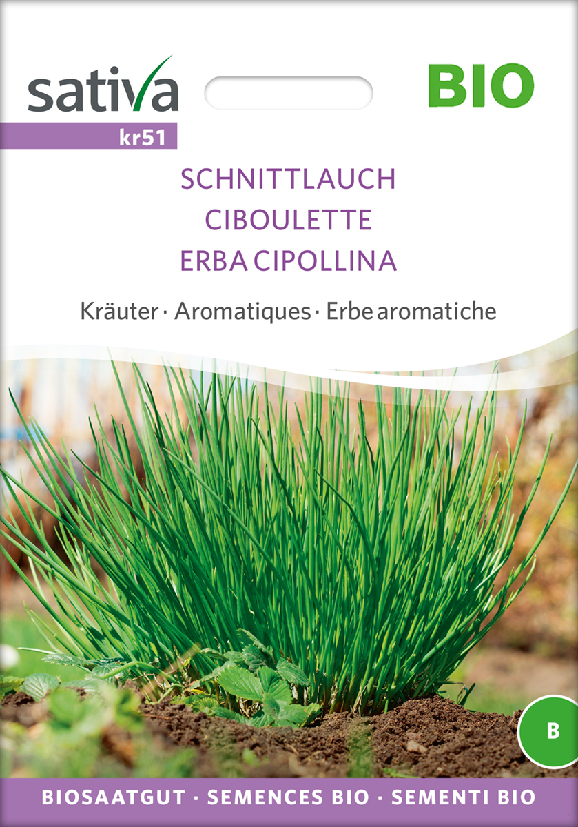 kr51_schnittlauch_bio_samen Schnittlauch BIO Samen