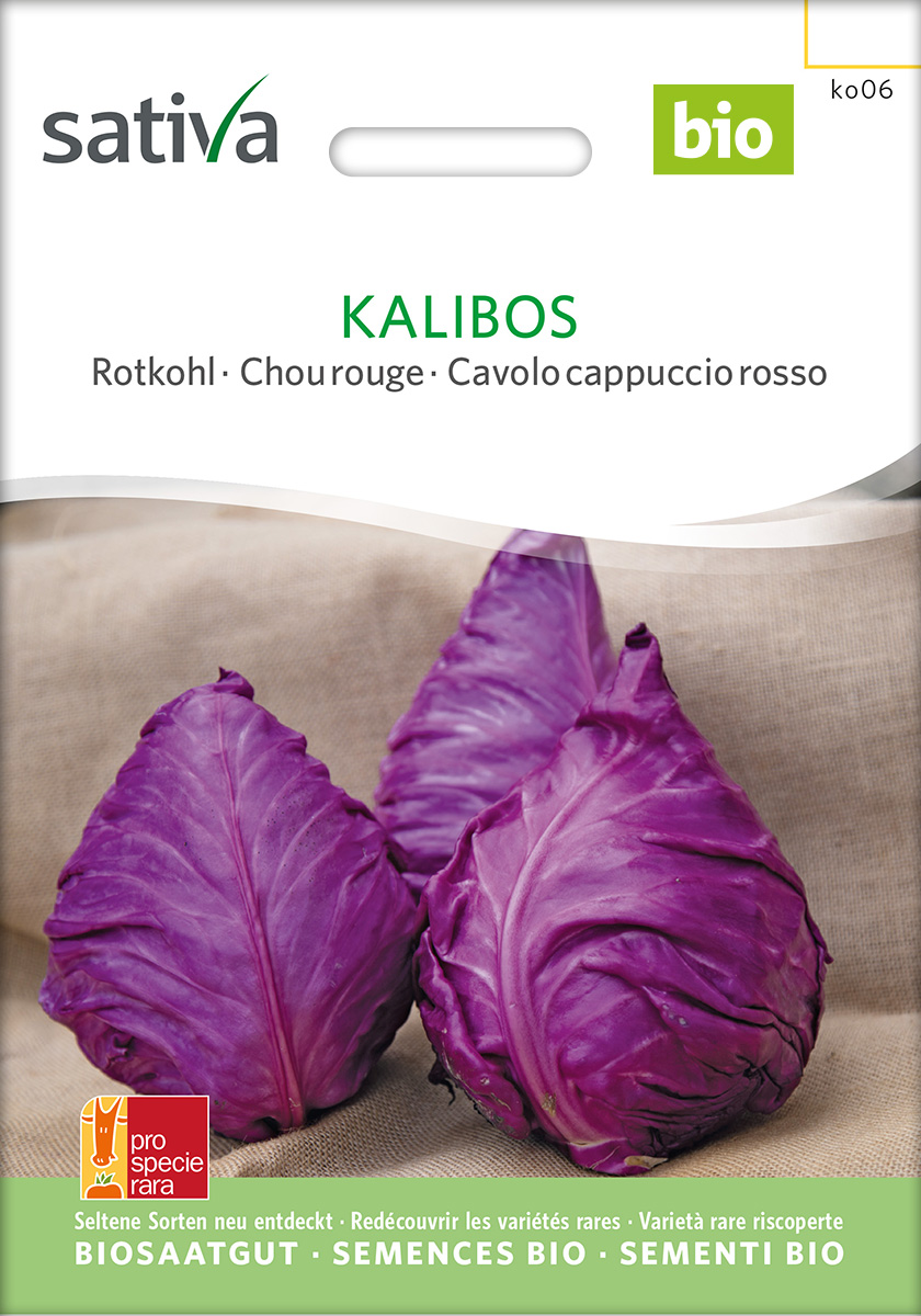 Rotkohl 'Kalibos' BIO Samen