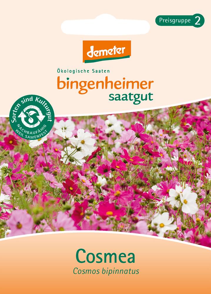 Cosmea bingenheimer saatgut