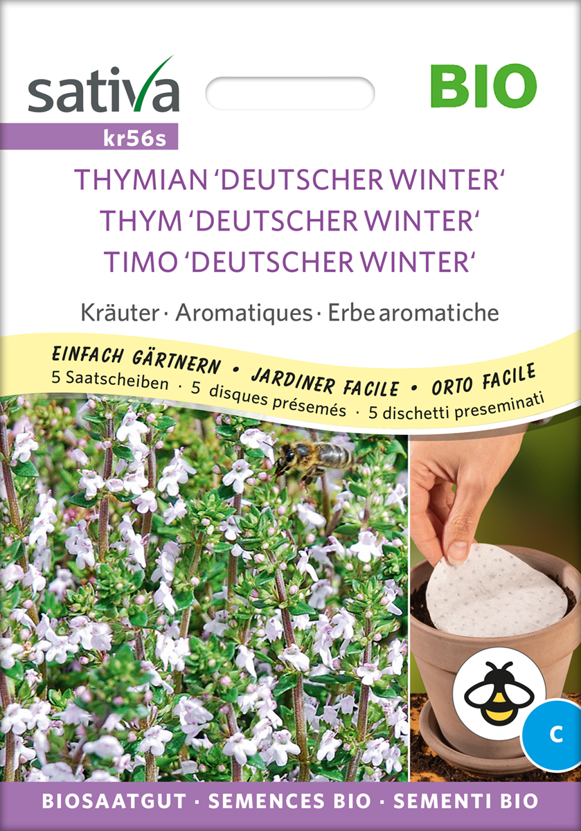 Thymian Deutscher Winter Bio Samen / 5 Saatscheiben