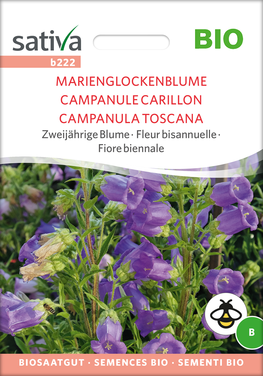 b222_marienglockenblume_bio_samen Marienglockenblume Biosaatgut von Sativa