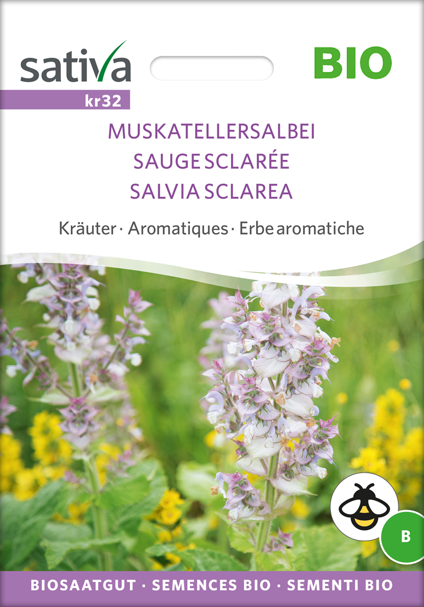 Muskatellersalbei Biosaatgut