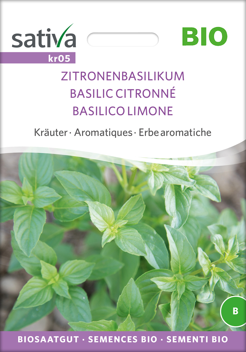 kr05_zitronenbasilikum_bio_samen Zitronenbasilikum BIO Samen