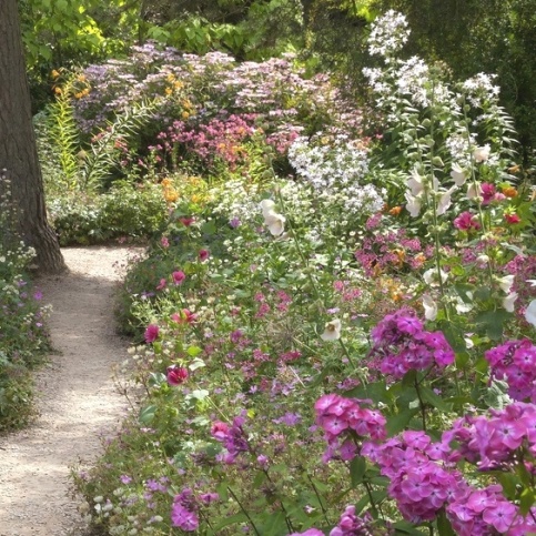 bio-samen-fuer-blumen