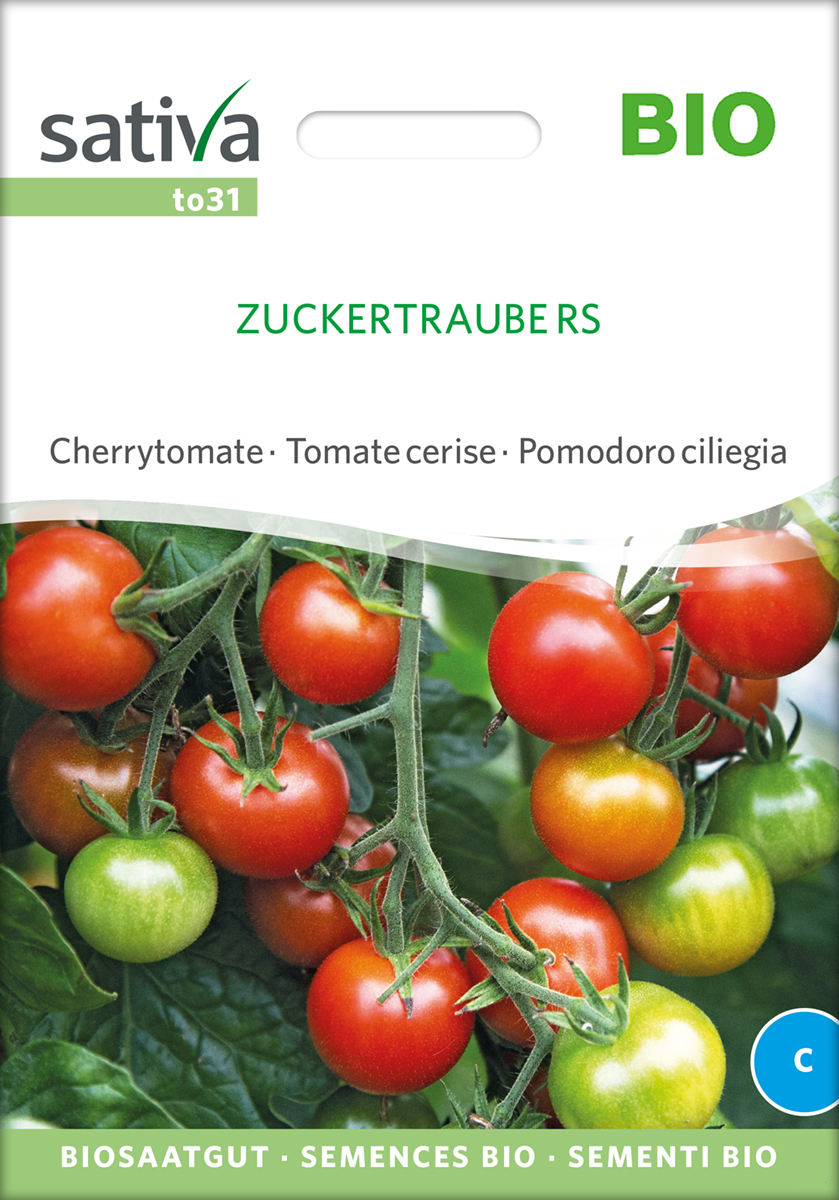 to31_tomate_zuckertraube_bio_samen Tomate Zuckertraube BIO Samen