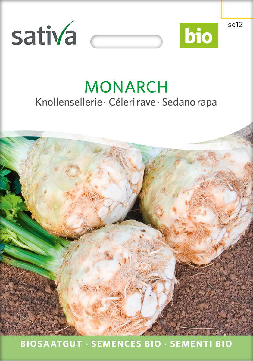 Sellerie 'Monarch', Knollensellerie, BIO Samen