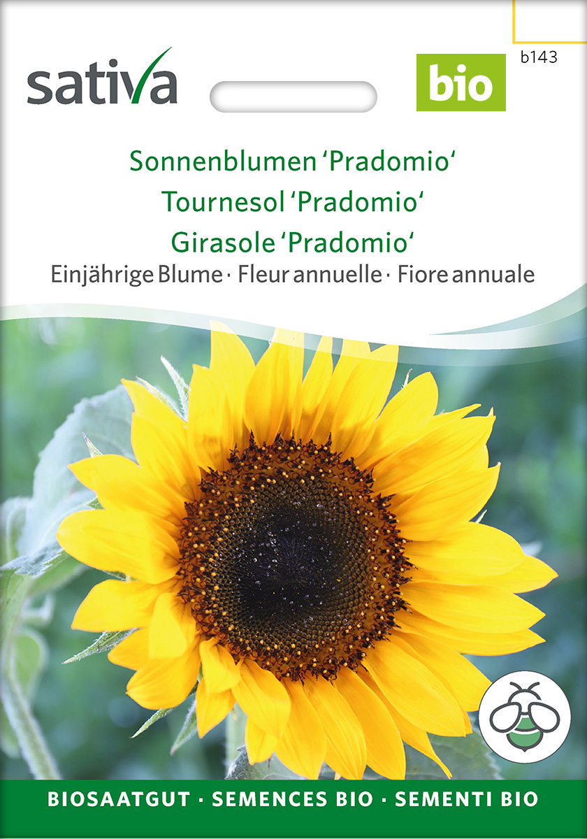 Sonnenblume 'Pradomio' Biosaatgut Sativa Sonnenblume 'Pradomio' Biosaatgut Sativa